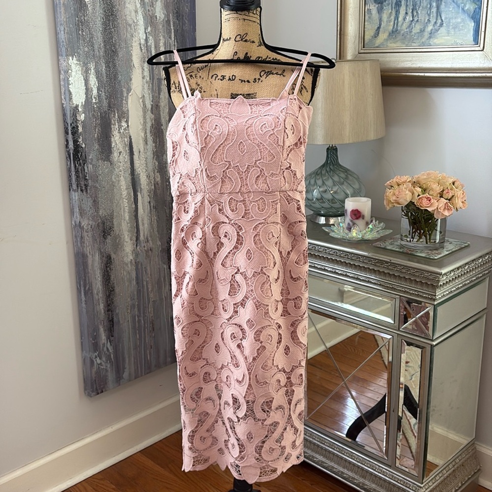 BARDOT Designer Blush Pink Lace wedding guest cruise sexy dress midi XS 2 4 New
